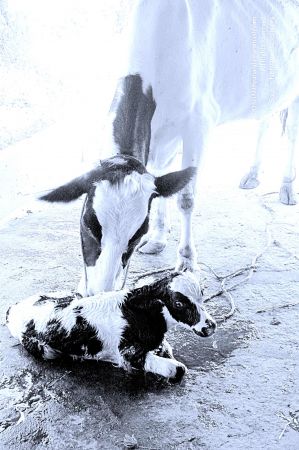 20071014 Photo 40 1jbN2hN7EsMdqWfJRnE OXoUYnvPvbY L.jpg