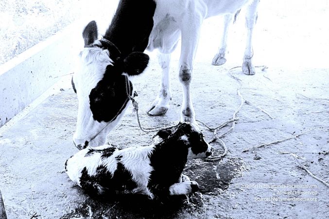 20071014 Photo 41 146JZUQ3JOvS2FqEZKi8HgAM-788pKrWa.jpg