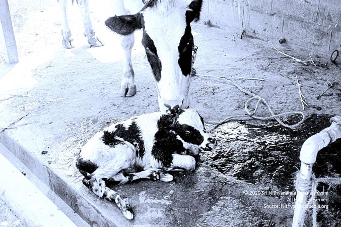 20071014 Photo 44 12bGgdpUBpqfga6ObEy76ND37BWDc8o2o.jpg