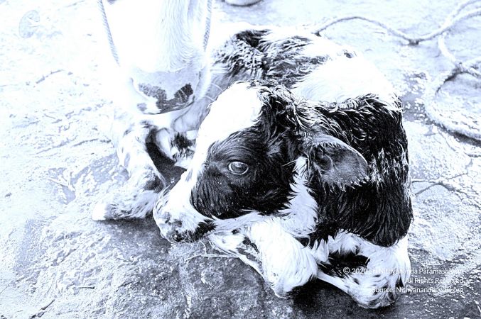 20071014 Photo 9 1lVH jJ2Fa-coZJ396 q4NbQwDekAR-HS.jpg