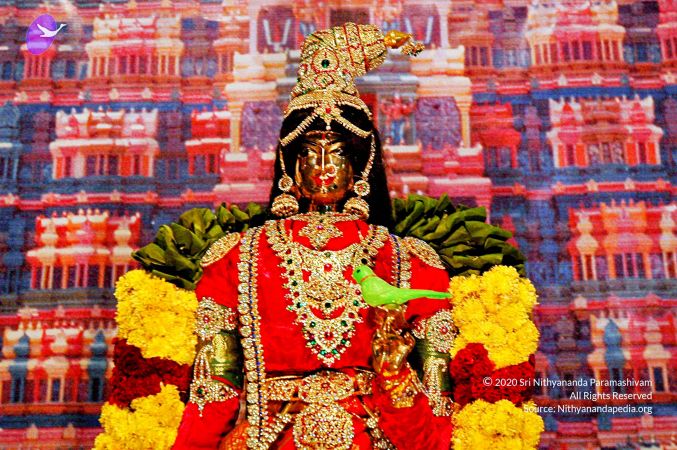 20071017 Photo 11 1Ps2BVSPhWRMXe6wsV2i1G1VGcIxGmDCW.jpg