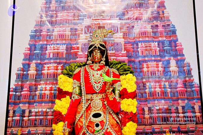 20071017 Photo 12 1mUK955kn6Wpl TBldGRxK5MAusNALFpP.jpg