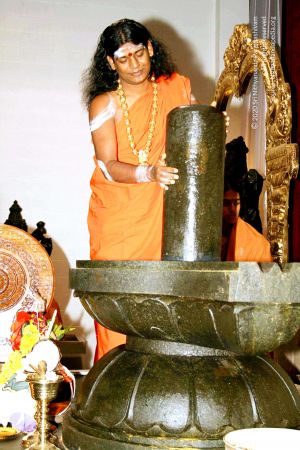 20071109 Photo 158 1OrailsA8cbQ3N lFv4ChNcF8Jx-crZLN.jpg