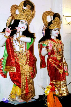 20071109 Photo 186 1 Z9N4gYUi7LPfAXyKVnT7cILNaqJ84jt.jpg