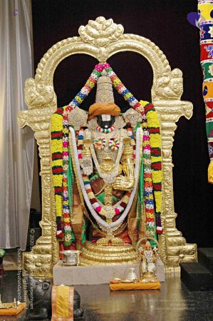 20071113 042 CMP WM.jpg