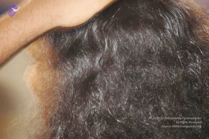 20071212 Photo 272 1QQbvzFiPCXkY11gF4yKeyn0EONNyD1TF.jpg