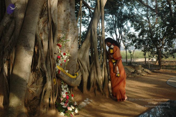 20071223 Photo 1043 18Sz13kd3IvFqLwJULdRCKgp7sQVXjABM.JPG