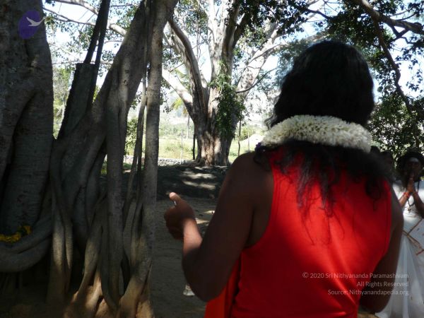 20071224 Photo 1478 1Q9gMz2 5ob2svTbZ ALVSrK0veGsRK-R.JPG