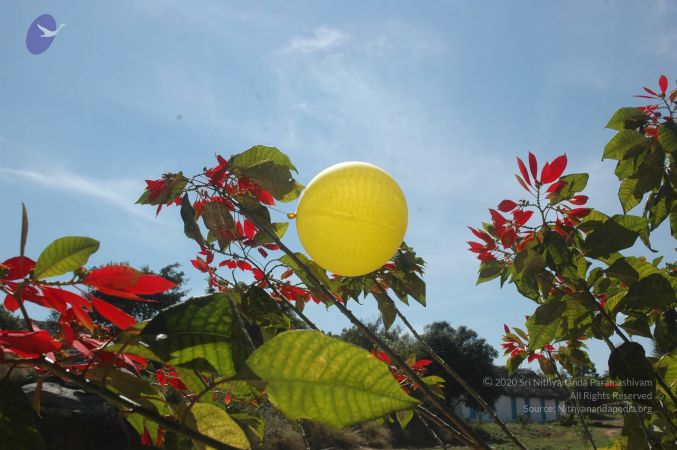 20071225 Photo 1006 1gFbSYBBRkY-avpuqlxbdx3tO06peowCs.JPG