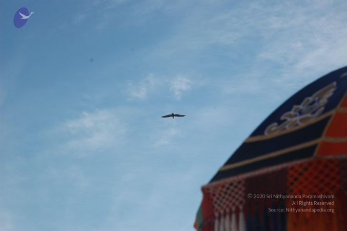 20071225 Photo 1018 1q4ULqXHvVzuPk-JOV7Vlh-fqZrqW2nJd.JPG