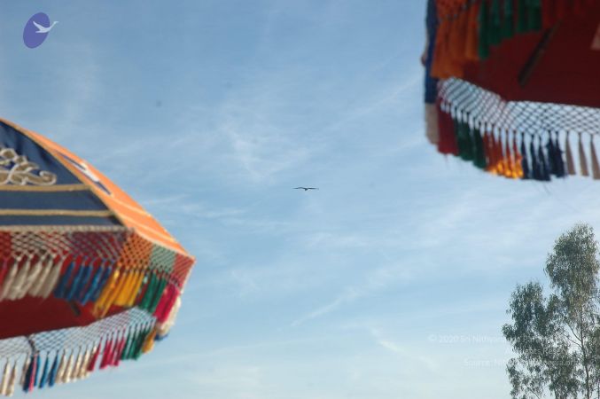 20071225 Photo 1019 1Eo1ujWTpFsLyooUlitSMyxpHuKpuheGQ.JPG