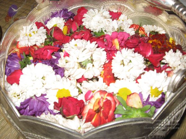 20071225 Photo 1026 1Ae-YFHg7NYTbDx WrZ2G z ARd5NvvLS.JPG