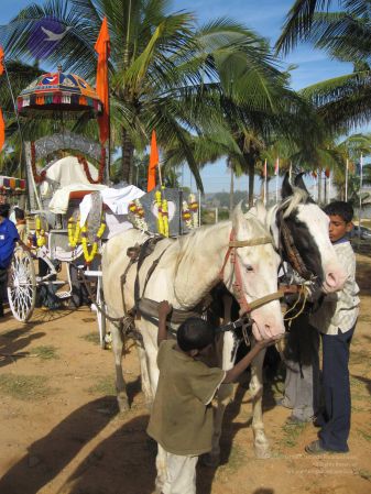 20071225 Photo 1040 10GQYvTDHOy479417PQ7lmSRec4QowJrx.JPG