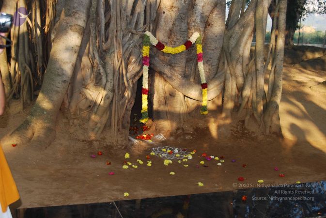 20071229 Photo 1213 1hwoyOKIxOEj6I-qFXbqCfj5XaSvHTwnI.JPG