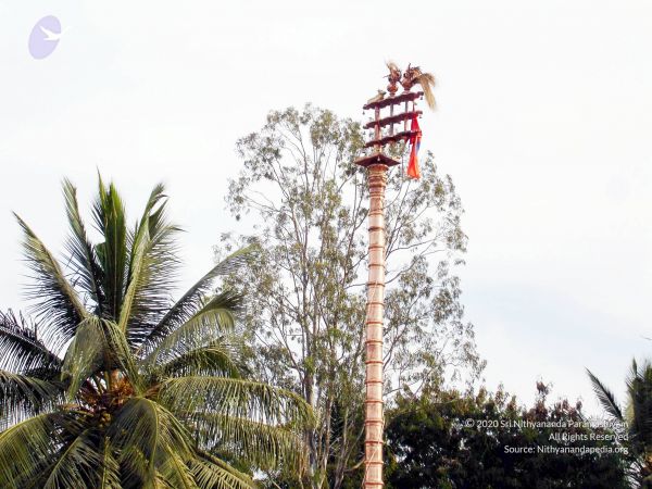 2007 DSC01460 CMP WM01.jpg