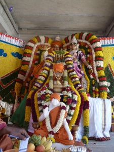 20080101 more 080377.jpg