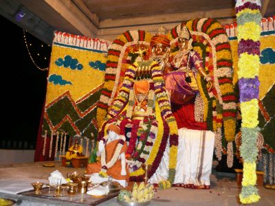 20080101 more 080484.jpg