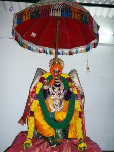 20080101 more 080520.jpg