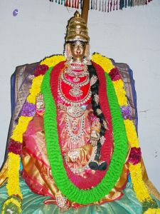 20080101 more 080523.jpg