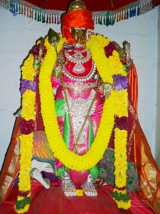 20080101 more 080524.jpg