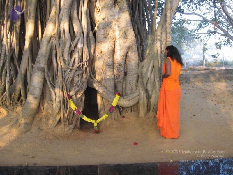 File:20080117 purnabhishekam 3888 CMP WM.jpg