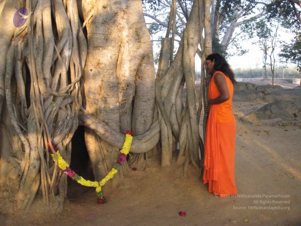 20080117 purnabhishekam 3890 CMP WM.jpg