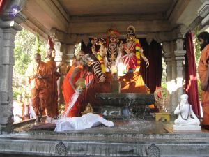 20080117 purnabhishekam 3994 CMP WM.jpg