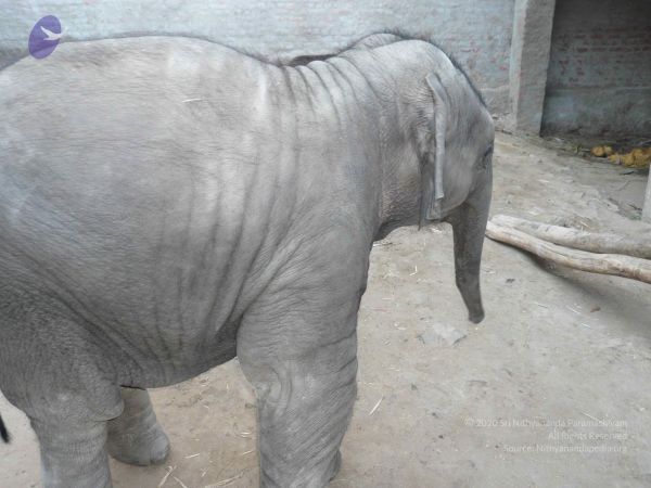 20080122 Photo 1105 1MsV9cNCmOQ9EKy9U8Zq9clFrqn8gRfax.JPG