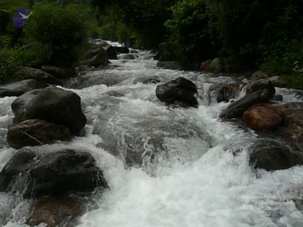 20080122 Photo 1206 19UloWMtqDdJgNAGVMTFJndrkFrRrsbij.JPG