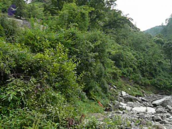 20080122 Photo 1207 1ZeSBEWJPua2HWoLlfjgkq9kMufXpxJKG.JPG