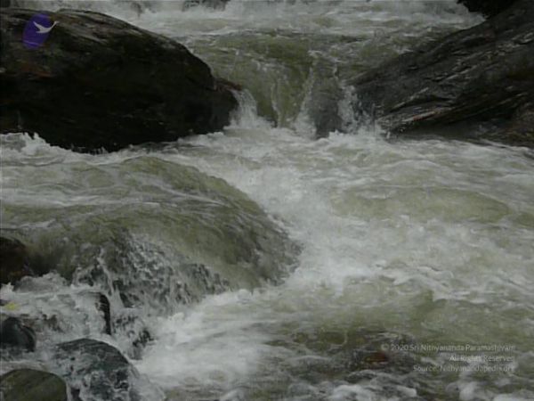 20080122 Photo 1210 1d2wolU2iXVUZ7-Sf2-4s7BjiSQOg5Tc4.JPG