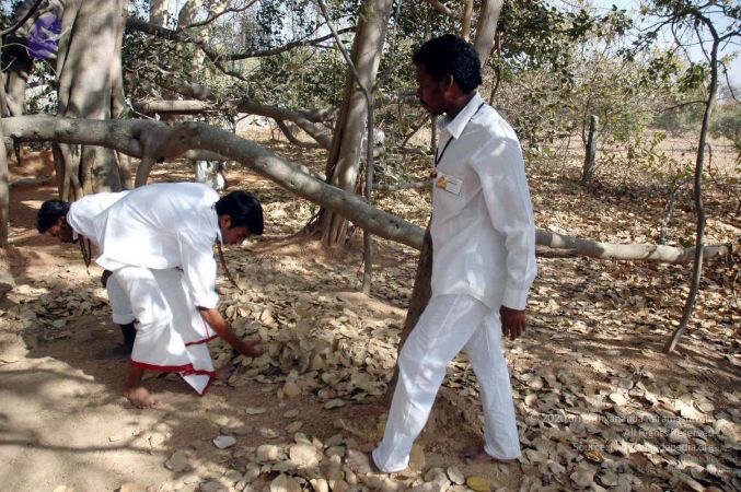 20080216DSC 9058 CMP WM001.jpg