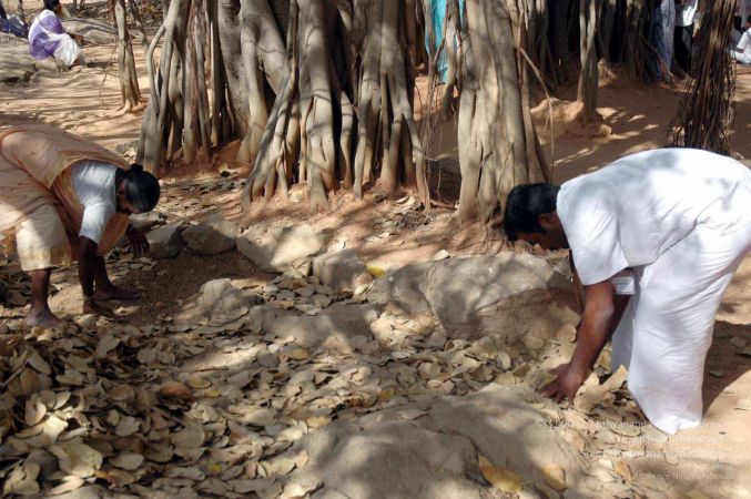 20080216DSC 9060 CMP WM001.jpg