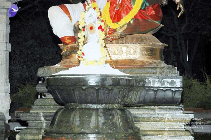 20080216DSC 9937 CMP WM001.jpg