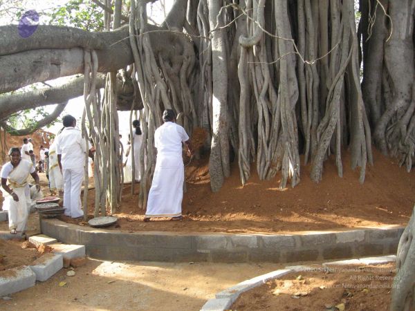 20080223 Photo 1111 1DdiM9IKL-6Fhak8li-MkDFFPb53b3X8j.JPG