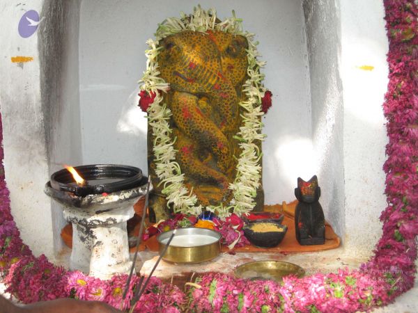 20080223 Photo 1136 12JGZASue207MwlJCrba9qzdUGye9ZF-r.JPG