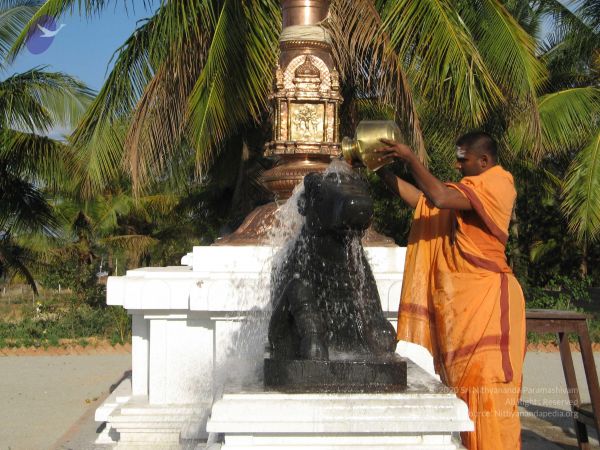 20080305 Photo 1001 1XjqMmnfX4vDBIP1YSL0dK9ERXEy-Q9YQ.JPG