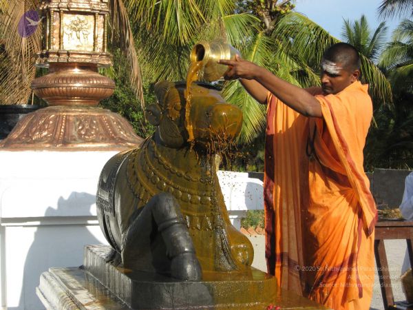 20080305 Photo 1015 1xwVxw8nN6cHFwDIYzbAEzB8e7WTeNhHh.JPG