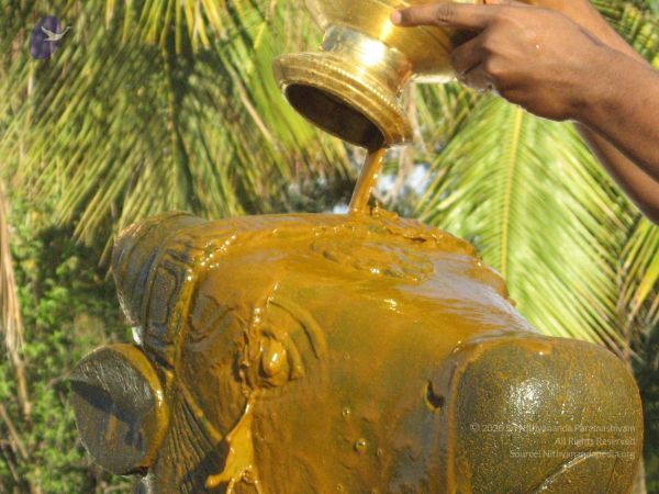 20080305 Photo 1016 1pC8sCvmDDRypDBofdsjq8J-jZVLpUQky.JPG