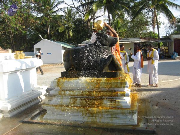 20080305 Photo 1019 1lY lnUWRSnKOfsaNGEENKqDacD7SDdg0.JPG