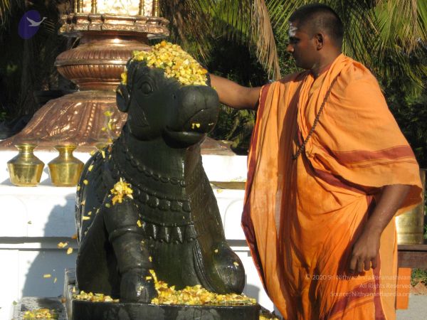 20080305 Photo 1032 1XLz9lxAwzGRJBaRjDBfrGywC3KE880Uo.JPG