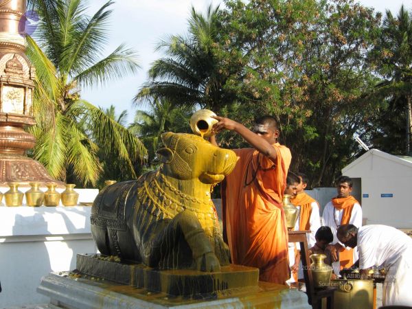 20080305 Photo 1045 1Mc2dnyAmdZM8S2FyGxO eUw0rGd91qpK.JPG