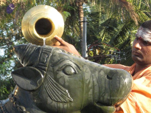 20080305 Photo 1050 1jrEdEm6HOTYFW5Ukp6tyhrR6-phgDb K.JPG