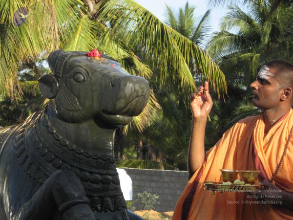 20080305 Photo 1052 1mF7I1vo4x6fqep7hzwZ4w F5WpVicEyS.JPG