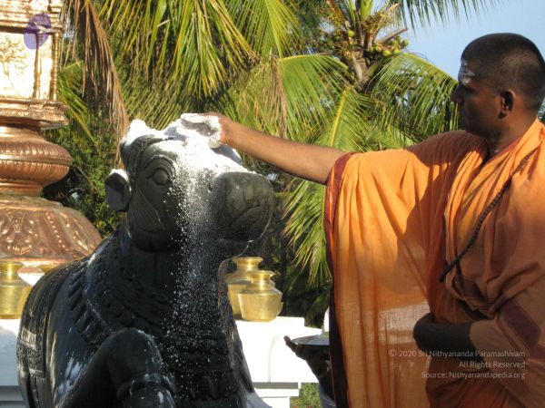 20080305 Photo 1055 1it5tU2DYYSCMIbxueGJwr9Pb1YJKPnuf.JPG