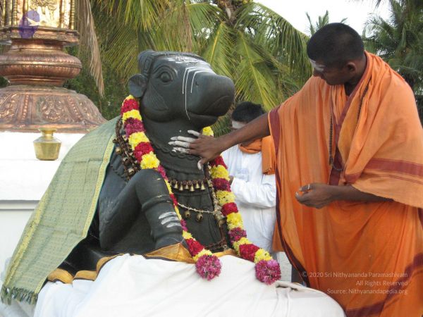 20080305 Photo 1075 1KsD87ls6dCHkjoSXb8etU5CCnR6QYU3E.JPG