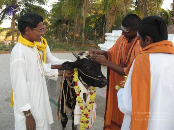 20080305 Photo 1080 1b6kfxw eHnlTElBGk5V2xZv8ezMpV9Ji.JPG