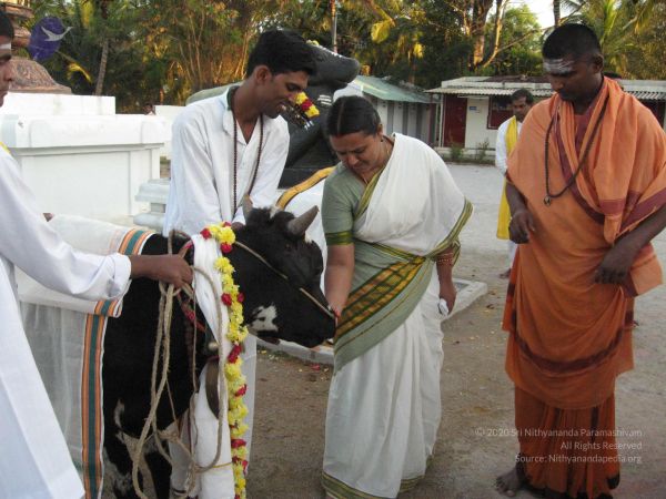 20080305 Photo 1084 1Jj19kOS7N9-HX3 E3C6XwWMMGBAISK-Q.JPG