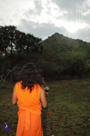 20080331 Photo 100 18FYYPrV OWLs8NyEPKF3RQ0dOA-ZmlWB.jpg