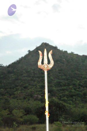 20080331 Photo 20 1W77bPajKLQr3E0YHmJRkLYz9ThUcjpPN.jpg